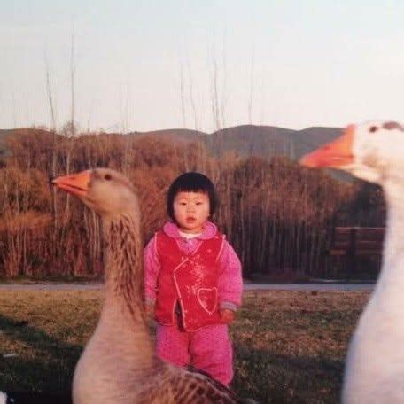 charlotte yuan (@charlatteyuan) • Instagram photos and videos.